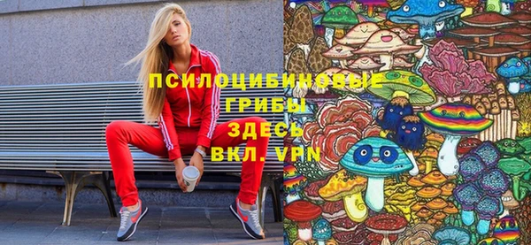 ECSTASY Киреевск