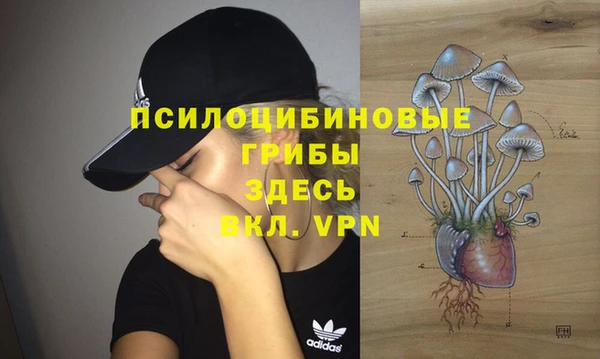 МДПВ Кинешма