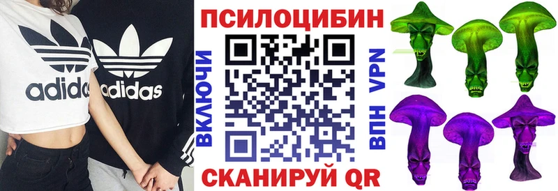 Купить где  Михайловск  Псилоцибиновые грибы прущие грибы 